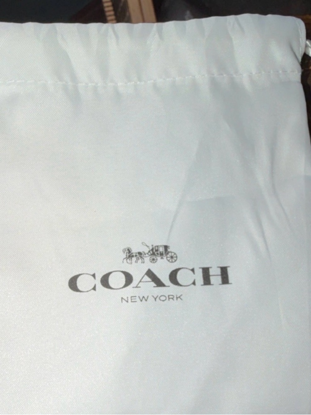 COACH Glitter Peach Keychain - Sparkling Copper/Gold TSITP - Picture 6 of 7